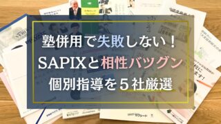 SAPIXと併用するなら？個別塾と家庭教師の全比較ガイド【20社から厳選】